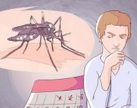 Малярия: возбудители, пути передачи и симптомы болезни